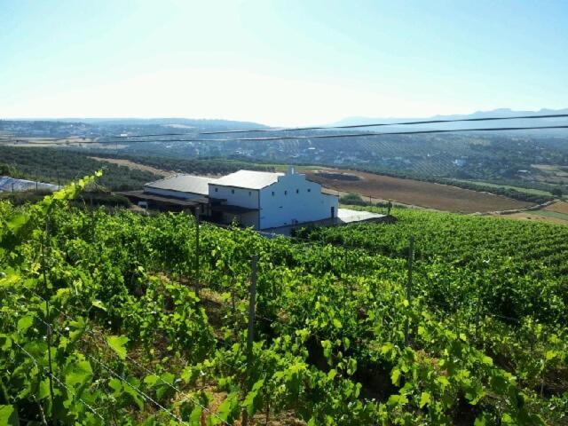 Bodegas Morosanto Διαμέρισμα La Cimada Εξωτερικό φωτογραφία